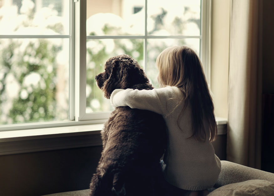 Girl and Dog Window