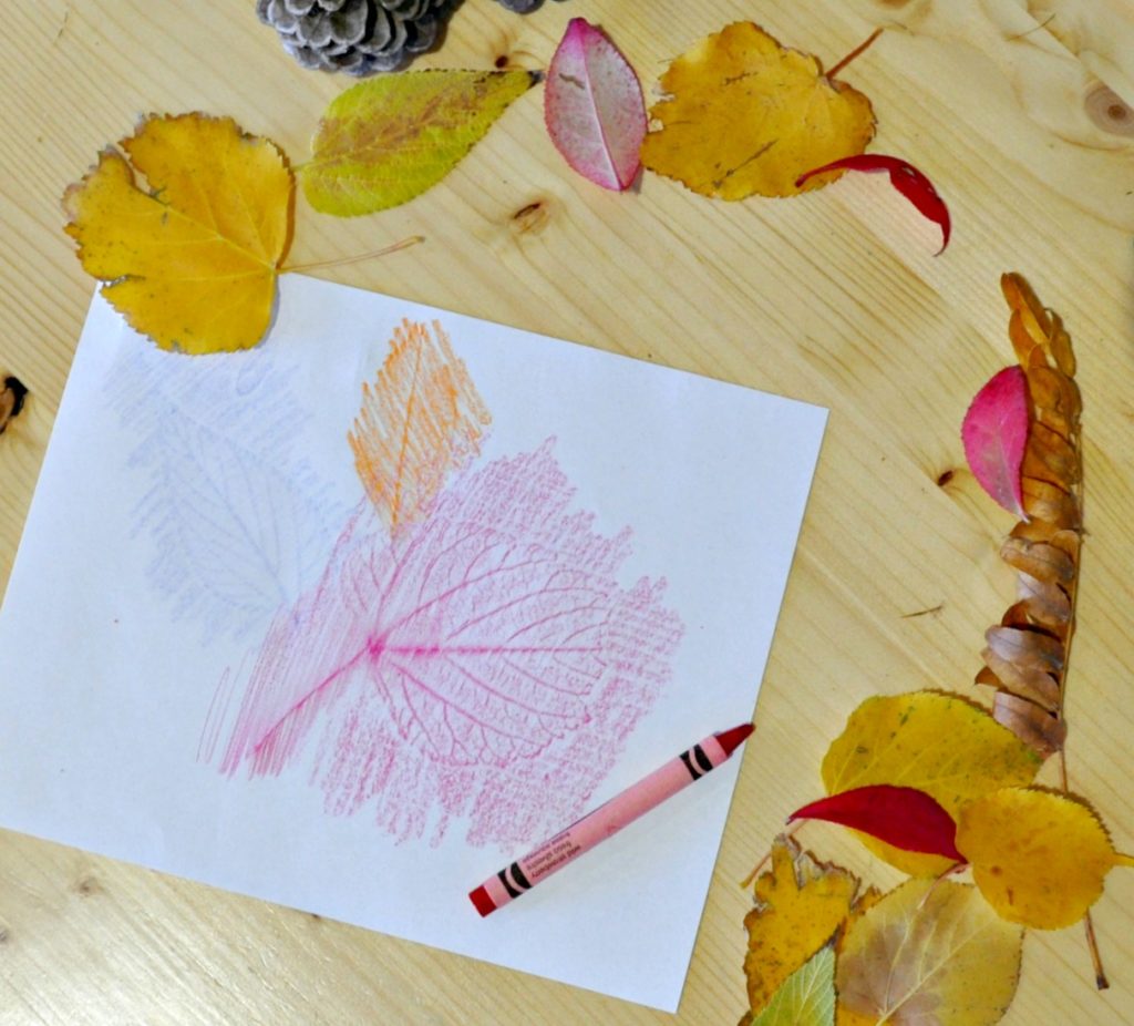 Leaf Coloring Crayon