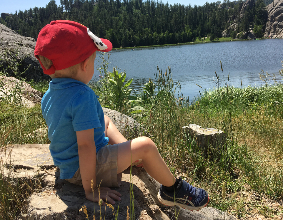 A small boy sitting on the rocks staring out at the lake during a family picnic